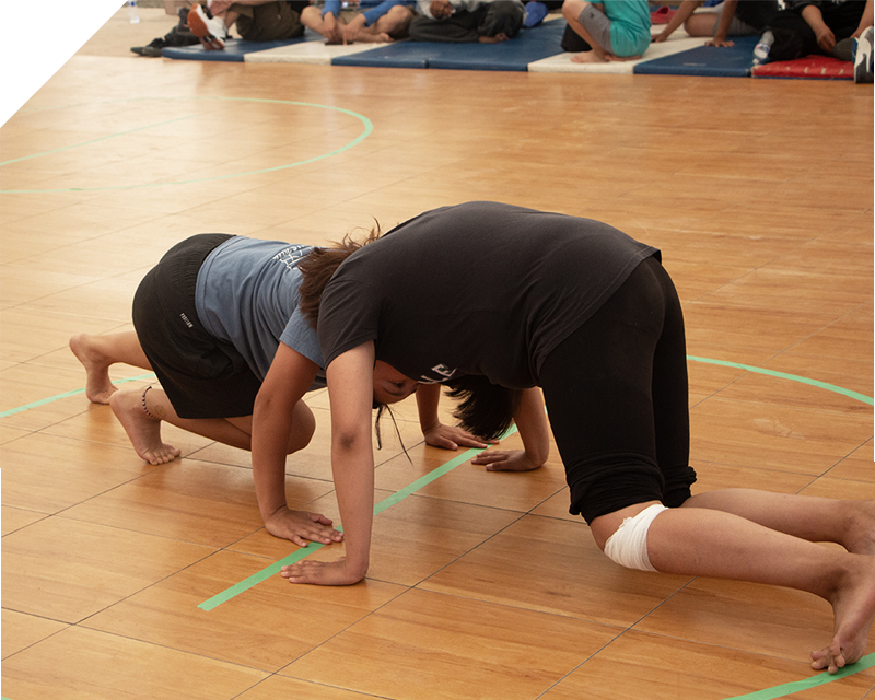 Muskox Push at the 2024 Northern Games (Photo credit: Marie Carpenter | ICS)