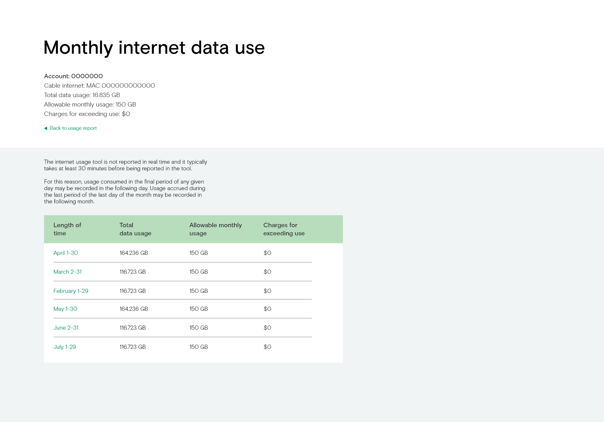 Internet Usage Monthly Details