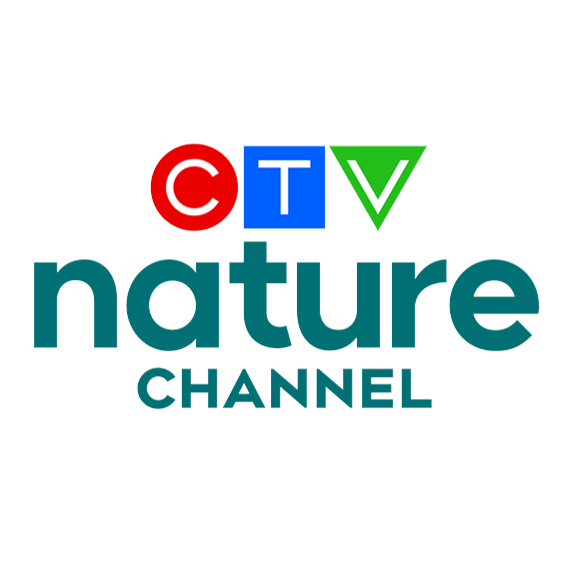 Free previews | Northwestel