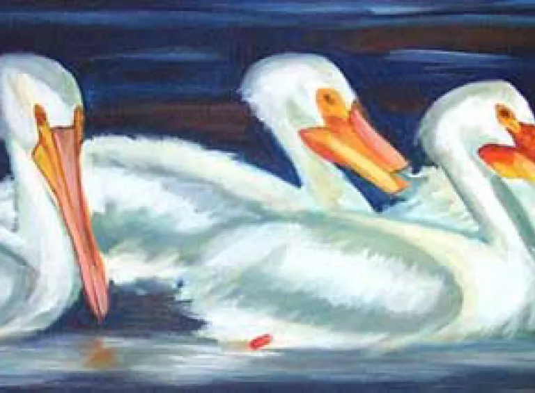 The White Pelicans of the Slave River: Art by Chris DeWolf