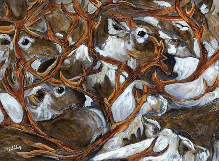 Herd Migration: Art by Jennifer Walde