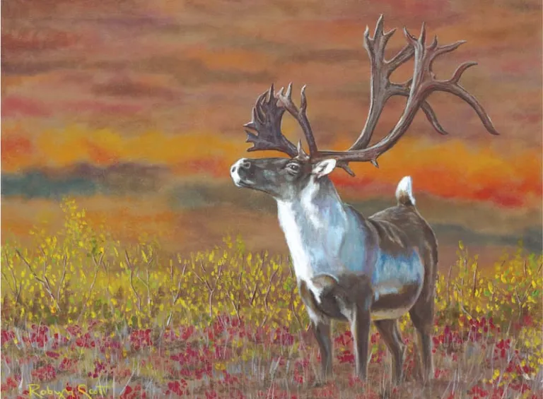 Ekwò: Art by Robyn Scott