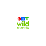 TV Plus Favourites Thumbnail 1021