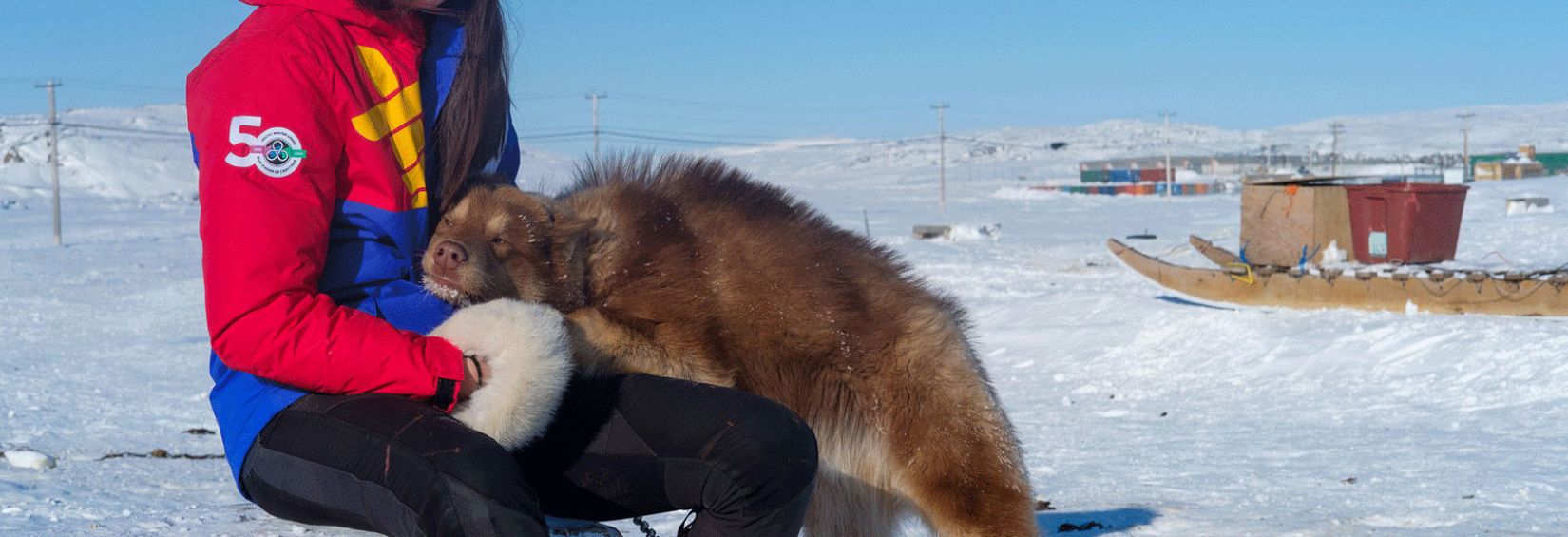 Nunavut Dog Musher Leetia