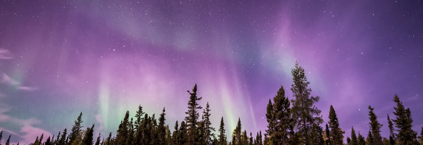 Image of Northern lights with tones of purples and greens