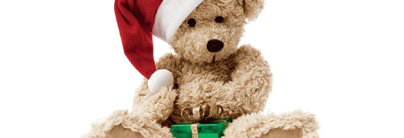 Toy Drive Bear