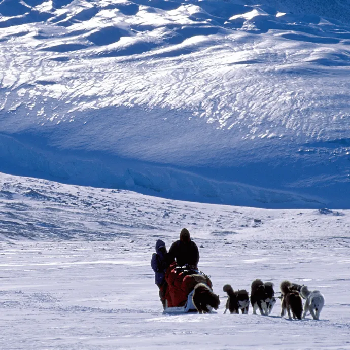 Dog sled team mobile